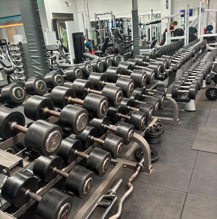 Free weights equipment with dumbbells at Re-Creation Health Club Sorrento