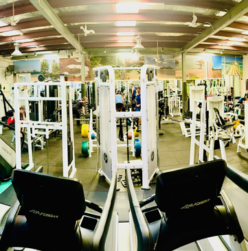 Resistance training equipment at Re-Creation Health Club Sorrento